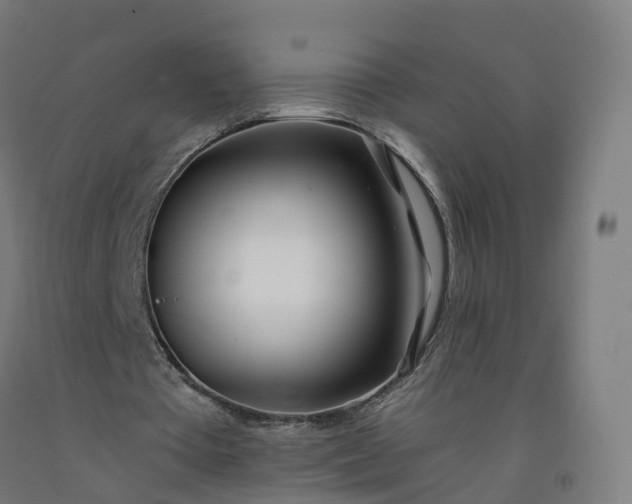 X0000092260385200709281208