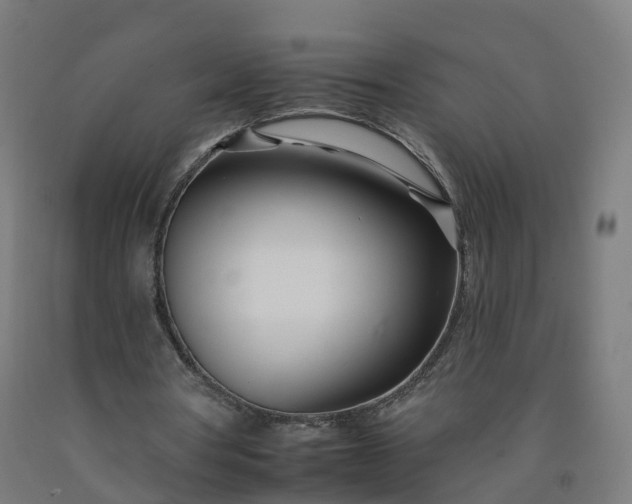 X0000092260386200709281208