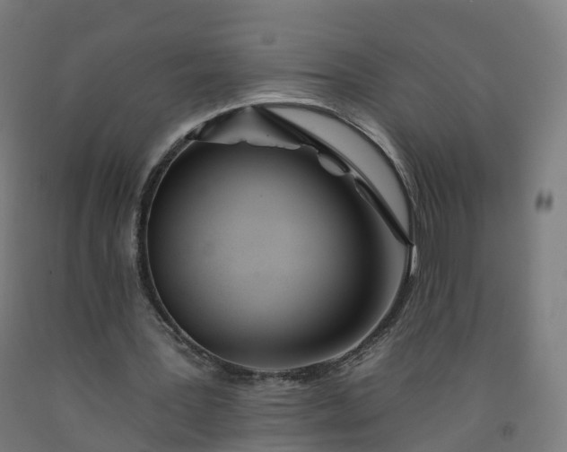 X0000092260387200709281208