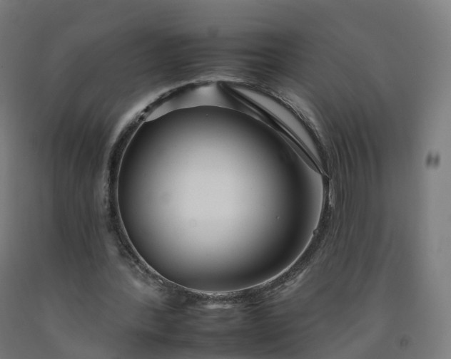 X0000092260388200709281208