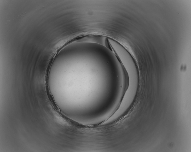 X0000092260389200709281208