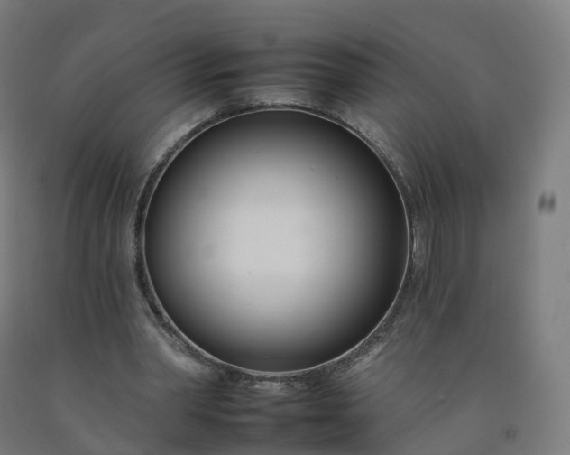 X0000092260390200709281208