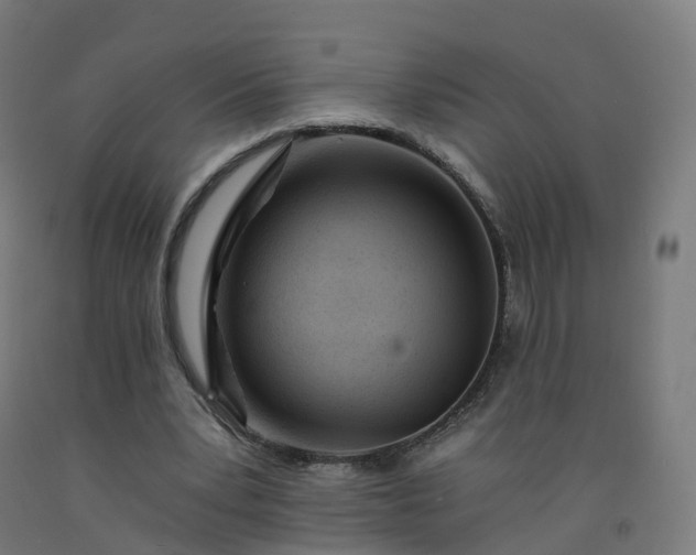 X0000092260391200709281208