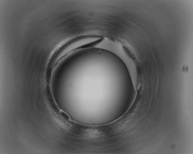 X0000092260392200709281208