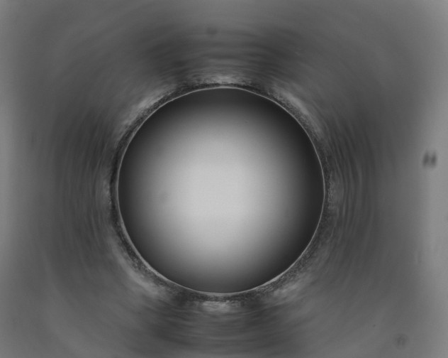 X0000092260394200709281208