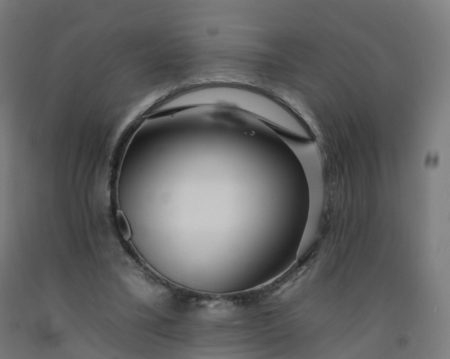 X0000092260395200709281208