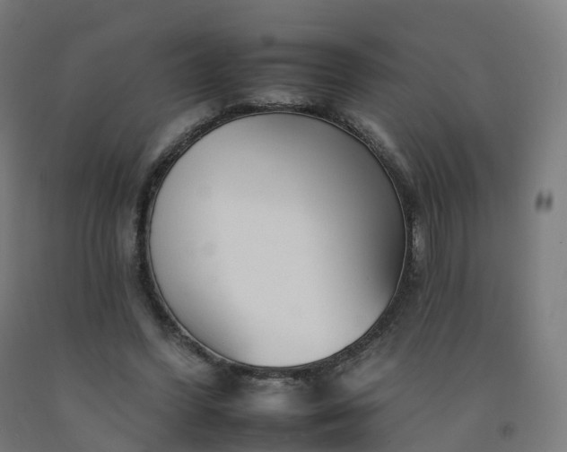 X0000092260396200709281208