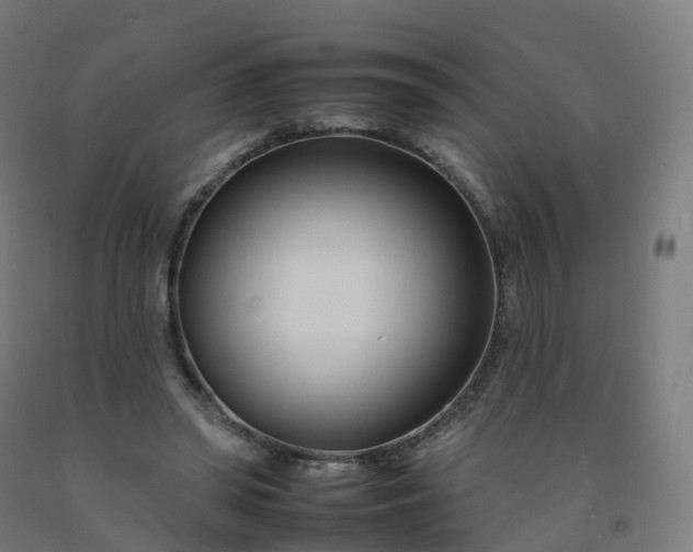 X0000092260398200709281208