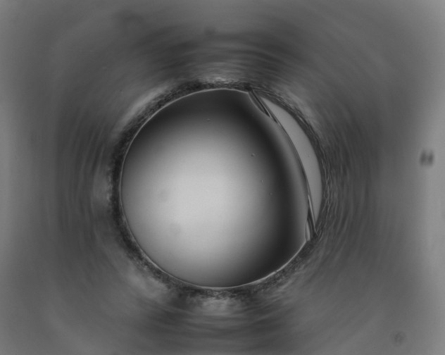 X0000092260400200709281208