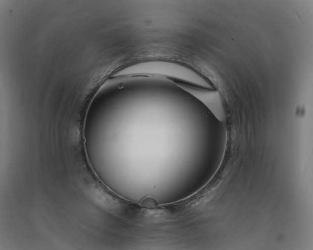 X0000092260401200709281208