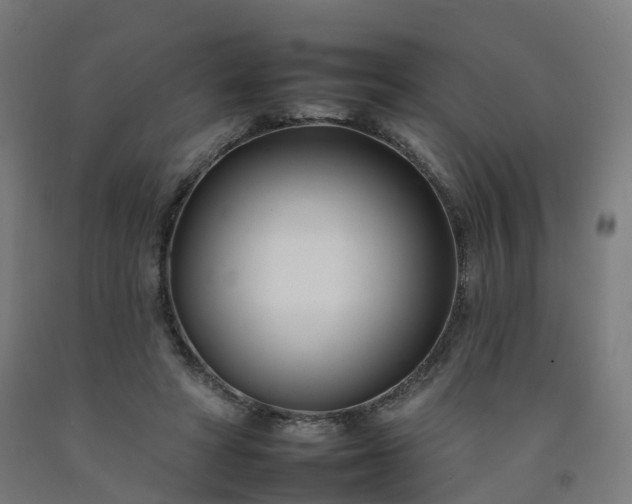 X0000092260402200709281208