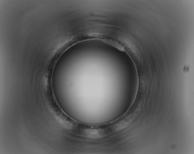 X0000092260404200709281208