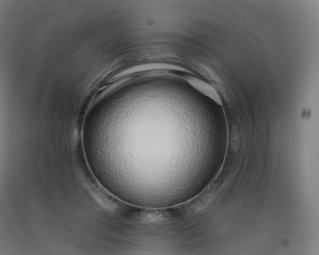 X0000092260405200709281208