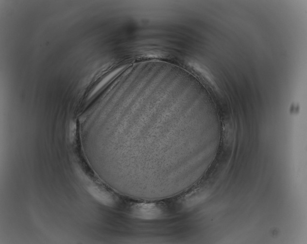 X0000092260406200709281208