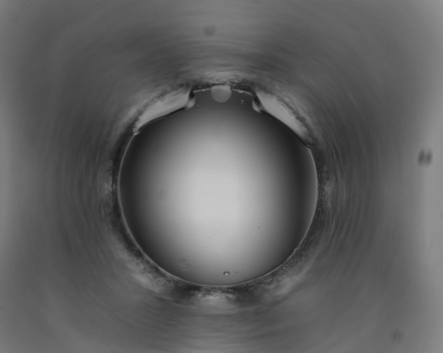 X0000092260407200709281208