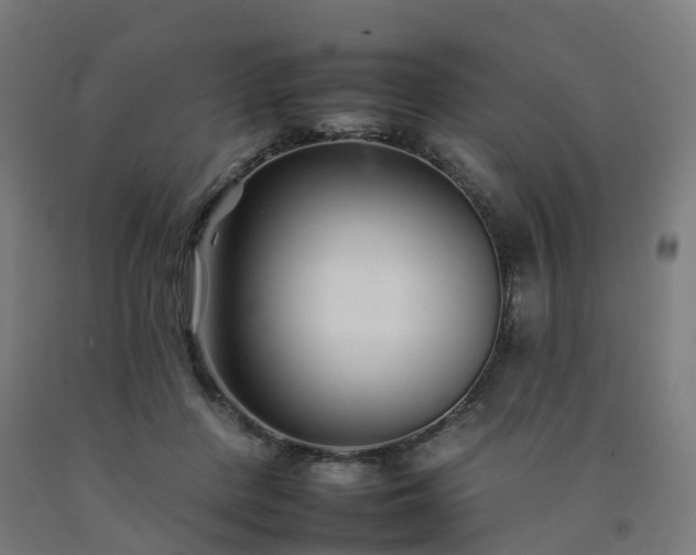 X0000092260408200709281208