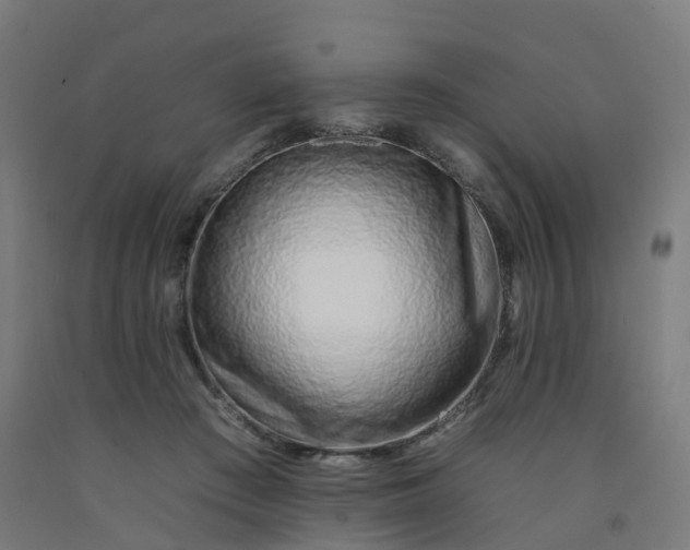 X0000092260409200709281208