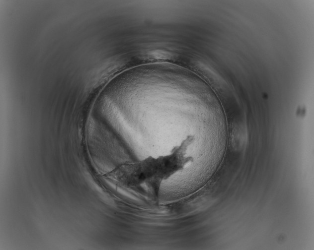 X0000092260410200709281208