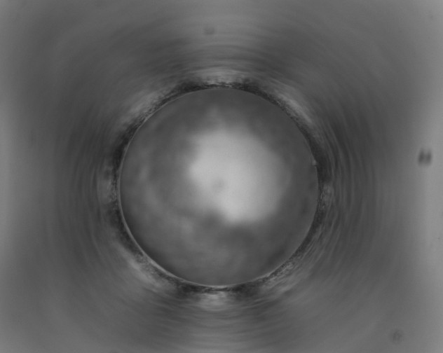 X0000092260411200709281208