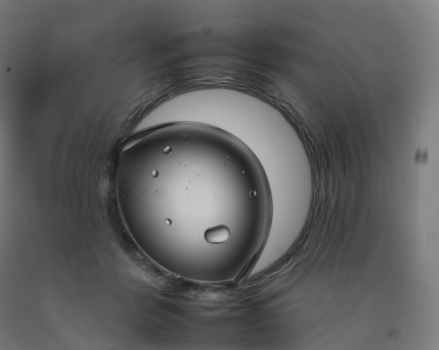 X0000092260412200709281208