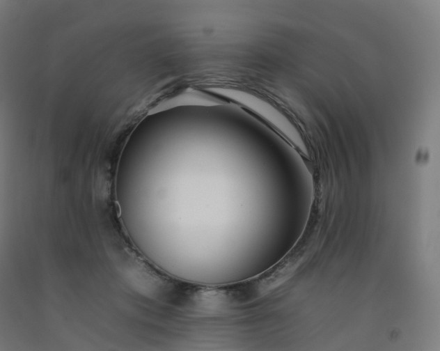 X0000092260413200709281208