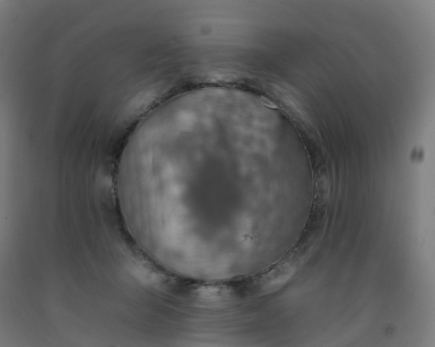 X0000092260415200709281208