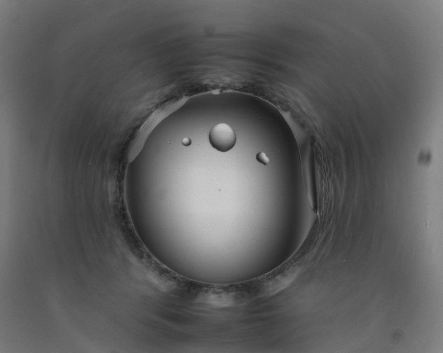 X0000092260416200709281208