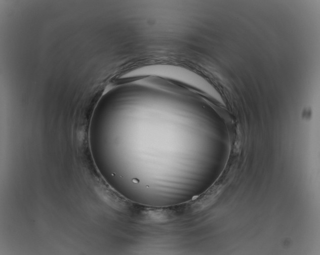 X0000092260417200709281208