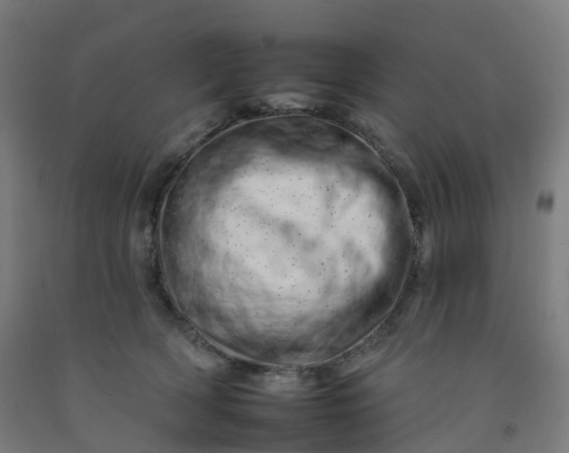 X0000092260418200709281208