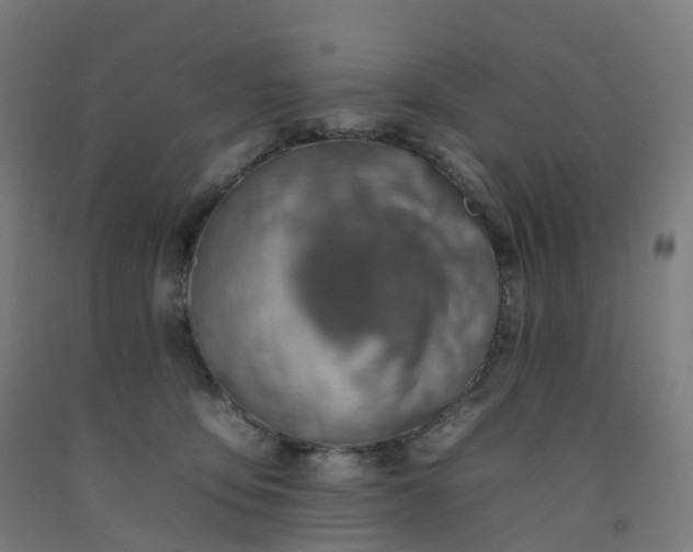 X0000092260419200709281208