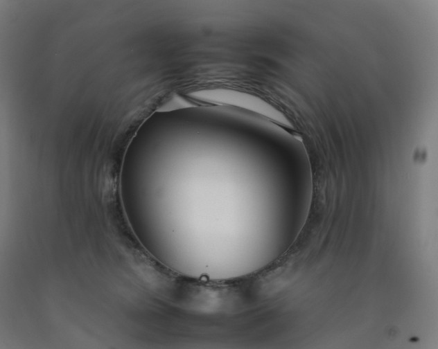 X0000092260420200709281207