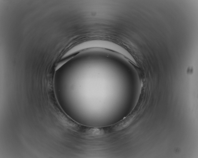 X0000092260421200709281207