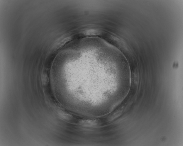 X0000092260422200709281207