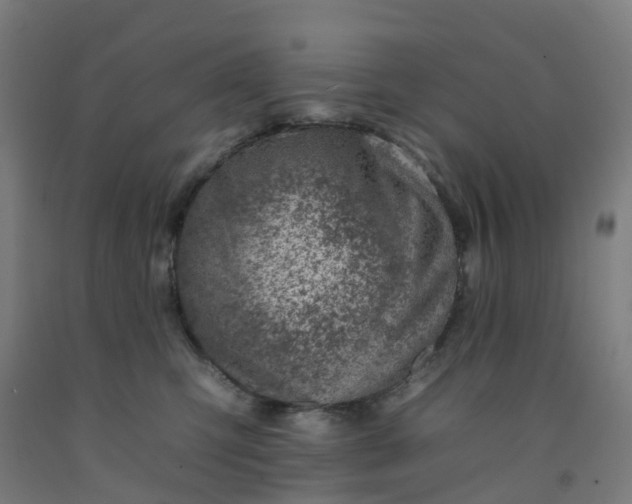 X0000092260423200709281207