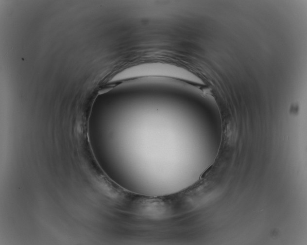 X0000092260424200709281207