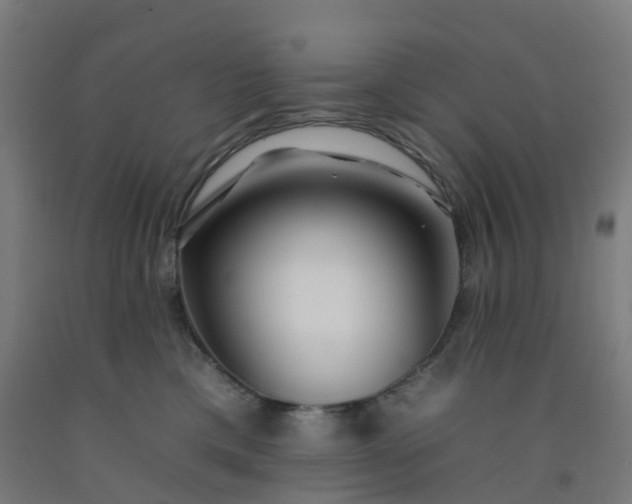 X0000092260425200709281207