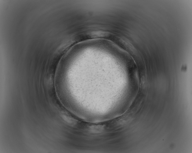 X0000092260426200709281207