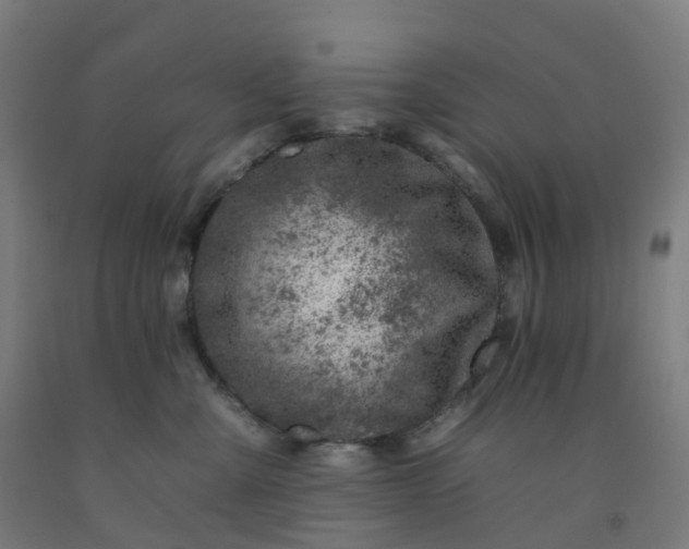 X0000092260427200709281207