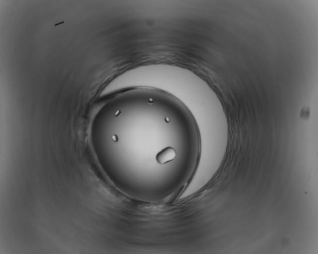 X0000092260428200709281207