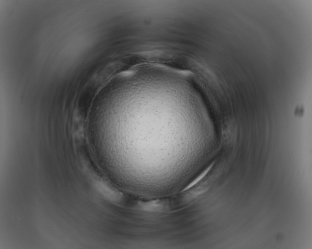 X0000092260430200709281207