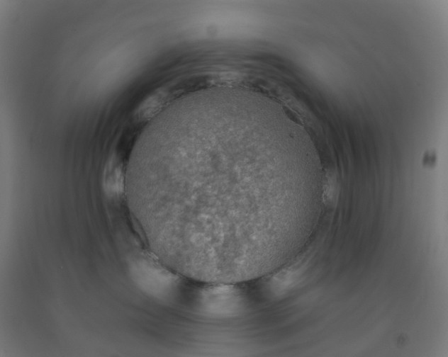 X0000092260431200709281207