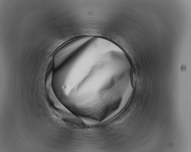 X0000092260433200709281207