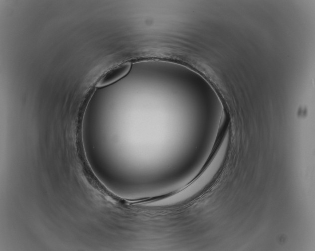 X0000092260434200709281207