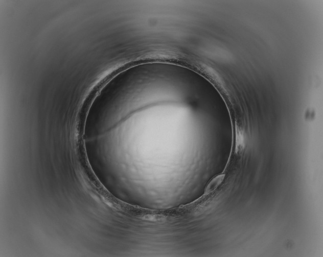 X0000092260435200709281207