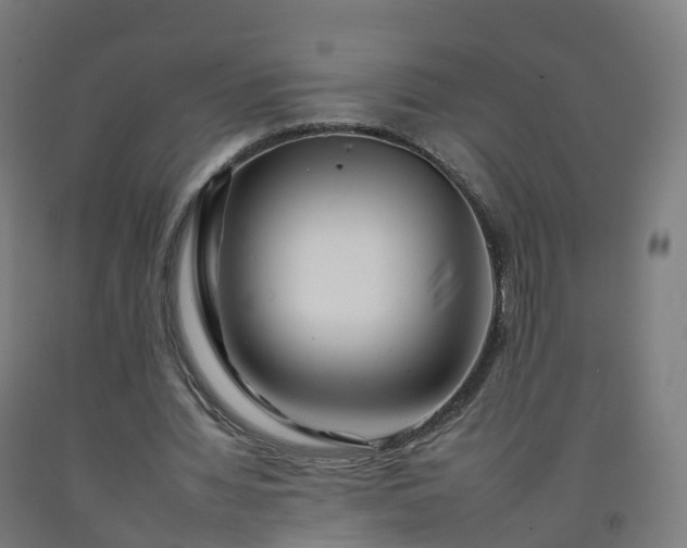 X0000092260436200709281207