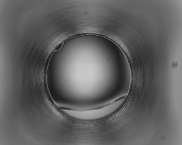 X0000092260437200709281207