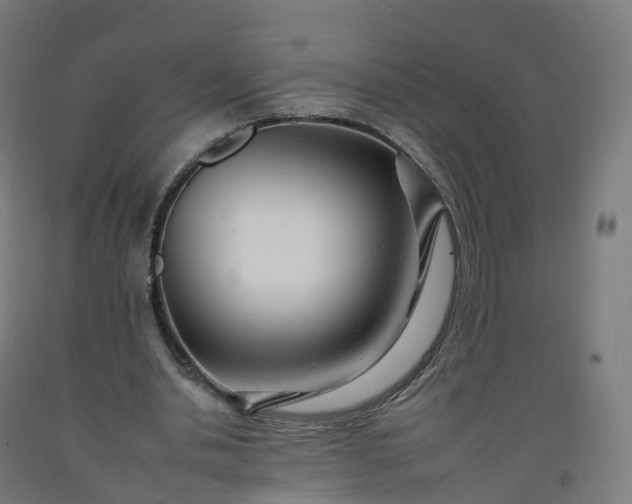 X0000092260438200709281207