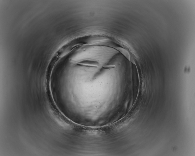 X0000092260439200709281207