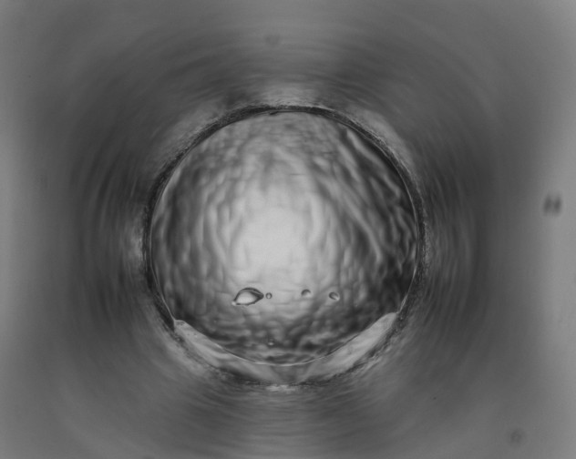 X0000092260441200709281207