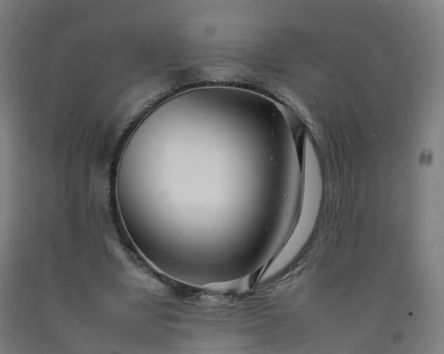 X0000092260442200709281207